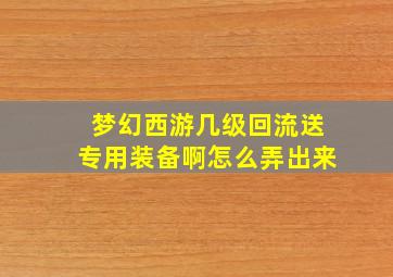 梦幻西游几级回流送专用装备啊怎么弄出来