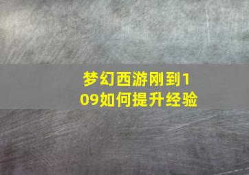 梦幻西游刚到109如何提升经验