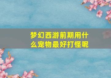 梦幻西游前期用什么宠物最好打怪呢