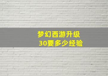 梦幻西游升级30要多少经验