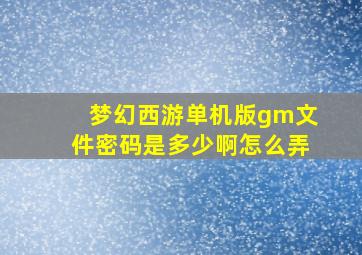 梦幻西游单机版gm文件密码是多少啊怎么弄