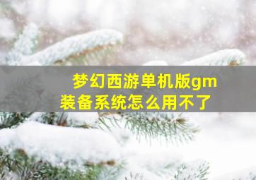 梦幻西游单机版gm装备系统怎么用不了