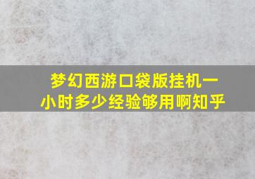 梦幻西游口袋版挂机一小时多少经验够用啊知乎