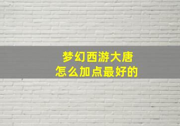 梦幻西游大唐怎么加点最好的