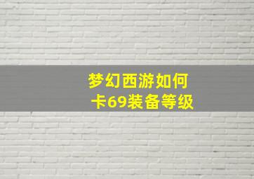 梦幻西游如何卡69装备等级