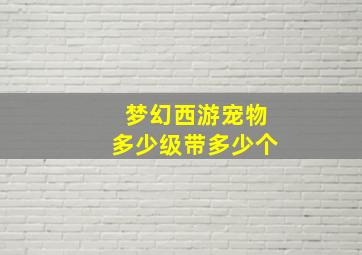 梦幻西游宠物多少级带多少个