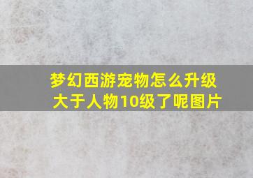 梦幻西游宠物怎么升级大于人物10级了呢图片