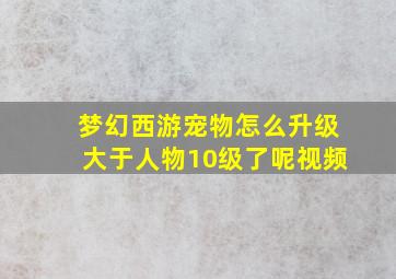 梦幻西游宠物怎么升级大于人物10级了呢视频