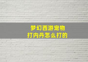 梦幻西游宠物打内丹怎么打的