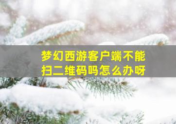 梦幻西游客户端不能扫二维码吗怎么办呀