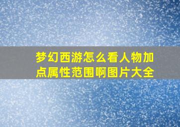 梦幻西游怎么看人物加点属性范围啊图片大全