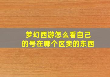 梦幻西游怎么看自己的号在哪个区卖的东西