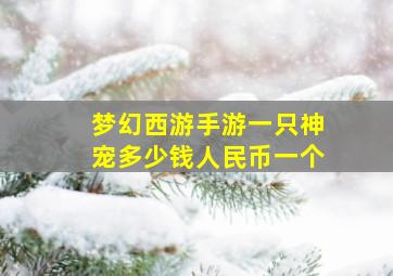 梦幻西游手游一只神宠多少钱人民币一个