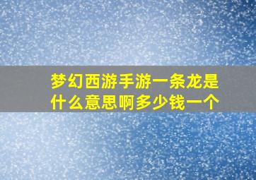 梦幻西游手游一条龙是什么意思啊多少钱一个