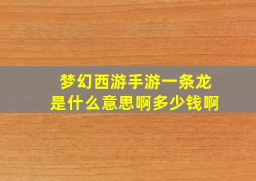 梦幻西游手游一条龙是什么意思啊多少钱啊