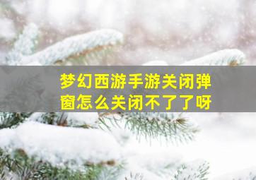 梦幻西游手游关闭弹窗怎么关闭不了了呀