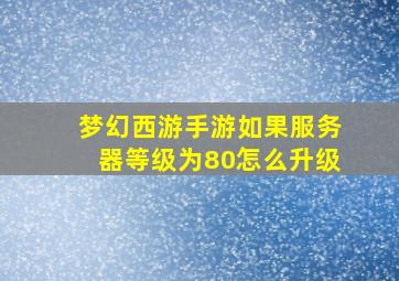 梦幻西游手游如果服务器等级为80怎么升级