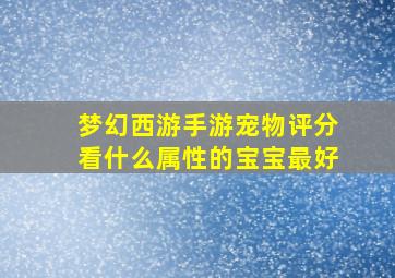 梦幻西游手游宠物评分看什么属性的宝宝最好