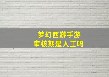 梦幻西游手游审核期是人工吗