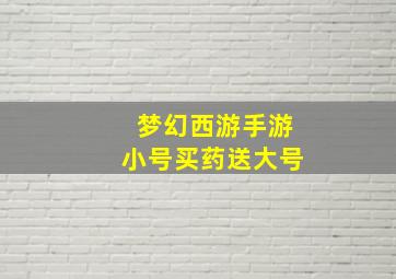 梦幻西游手游小号买药送大号