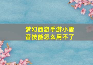 梦幻西游手游小雷音技能怎么用不了