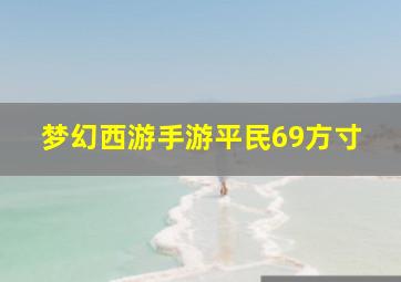 梦幻西游手游平民69方寸