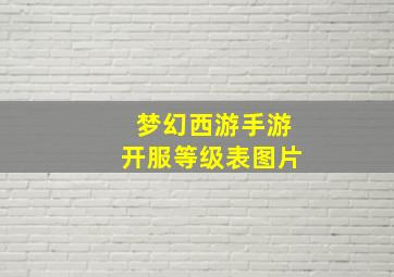 梦幻西游手游开服等级表图片