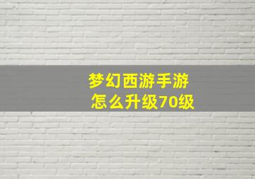 梦幻西游手游怎么升级70级