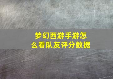 梦幻西游手游怎么看队友评分数据