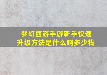 梦幻西游手游新手快速升级方法是什么啊多少钱