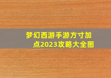 梦幻西游手游方寸加点2023攻略大全图