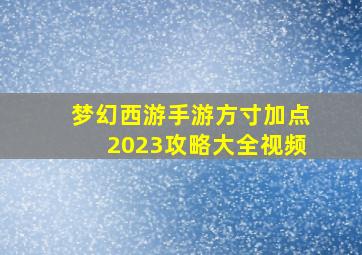 梦幻西游手游方寸加点2023攻略大全视频