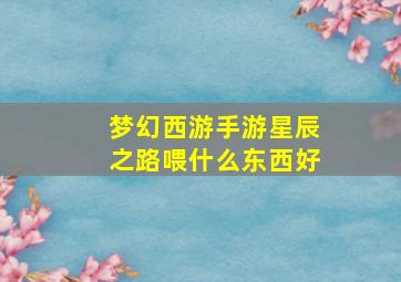 梦幻西游手游星辰之路喂什么东西好