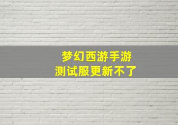 梦幻西游手游测试服更新不了