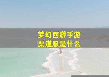 梦幻西游手游渠道服是什么