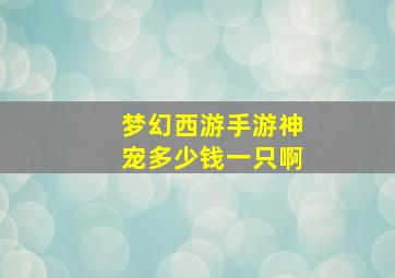 梦幻西游手游神宠多少钱一只啊