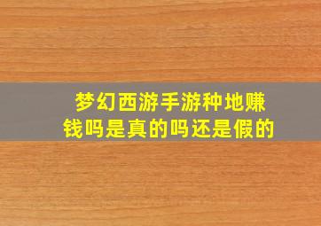 梦幻西游手游种地赚钱吗是真的吗还是假的