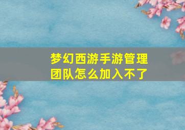 梦幻西游手游管理团队怎么加入不了