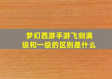 梦幻西游手游飞剑满级和一级的区别是什么