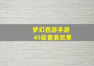 梦幻西游手游45级套装效果