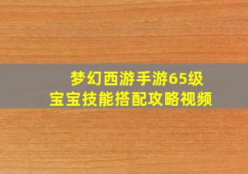 梦幻西游手游65级宝宝技能搭配攻略视频