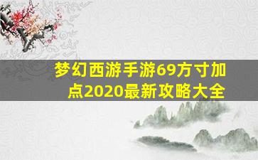 梦幻西游手游69方寸加点2020最新攻略大全