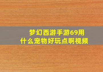 梦幻西游手游69用什么宠物好玩点啊视频