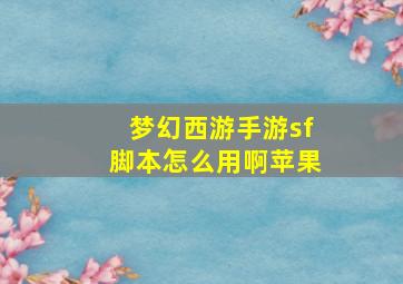 梦幻西游手游sf脚本怎么用啊苹果