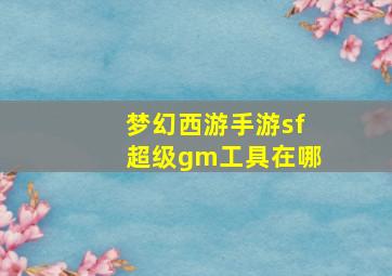 梦幻西游手游sf超级gm工具在哪