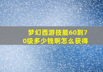 梦幻西游技能60到70级多少钱啊怎么获得