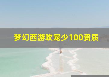 梦幻西游攻宠少100资质