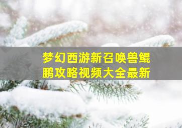 梦幻西游新召唤兽鲲鹏攻略视频大全最新