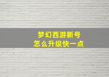 梦幻西游新号怎么升级快一点