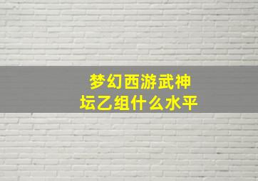 梦幻西游武神坛乙组什么水平